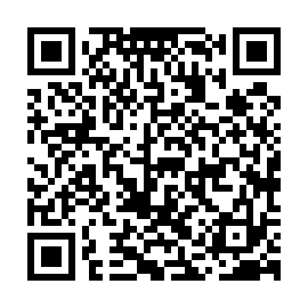 QR code for MAX533