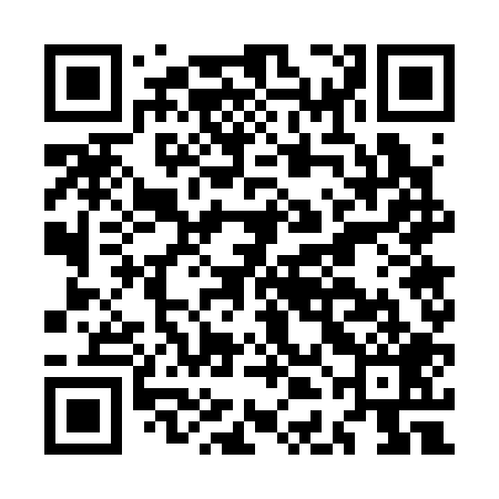 QR code for MDG309