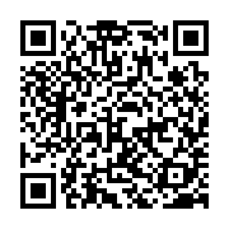QR code for MDW389