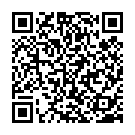 QR code for MEG439