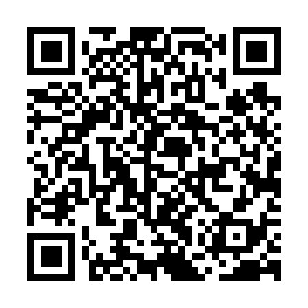 QR code for MGT638