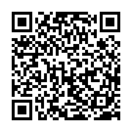 QR code for MHP161