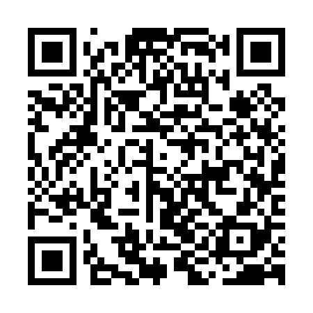 QR code for MIC028