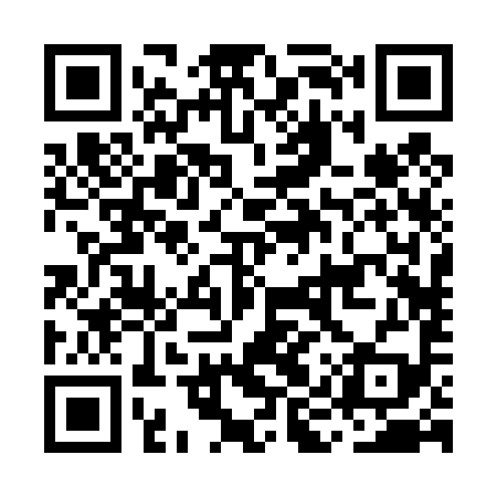 QR code for MIR499