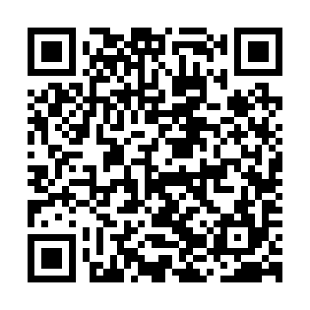 QR code for MJV294