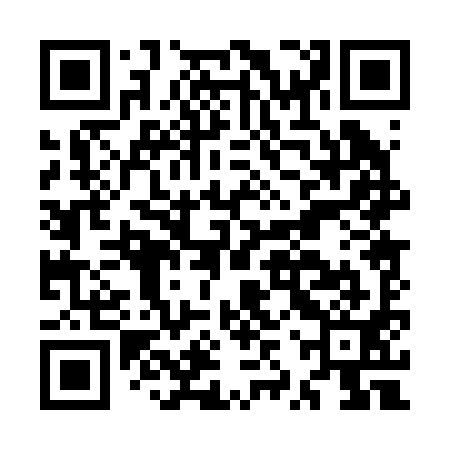 QR code for MZP291