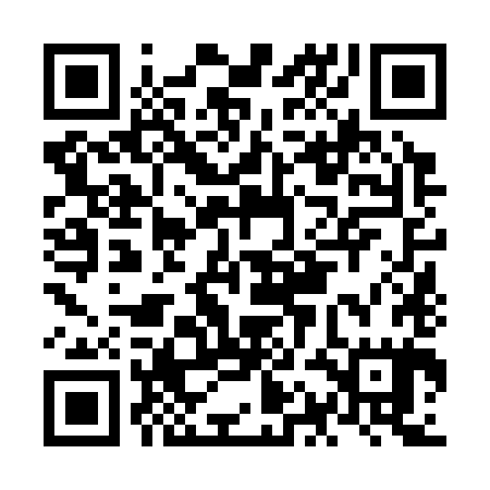 QR code for NAN385