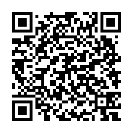 QR code for NAN638