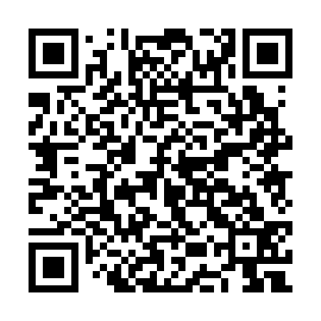 QR code for NEP333