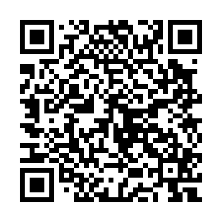 QR code for NES005
