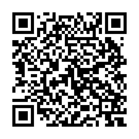 QR code for NES203