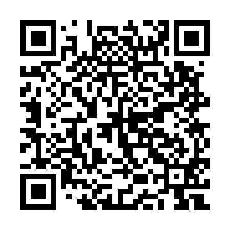 QR code for NES591