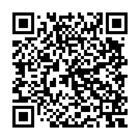 QR code for NEX441