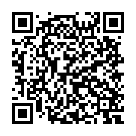 QR code for NIQ542