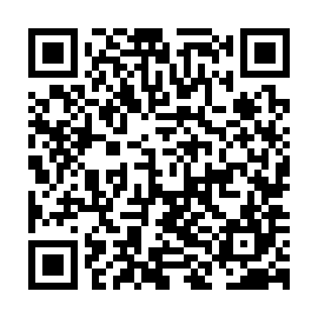 QR code for NLN384