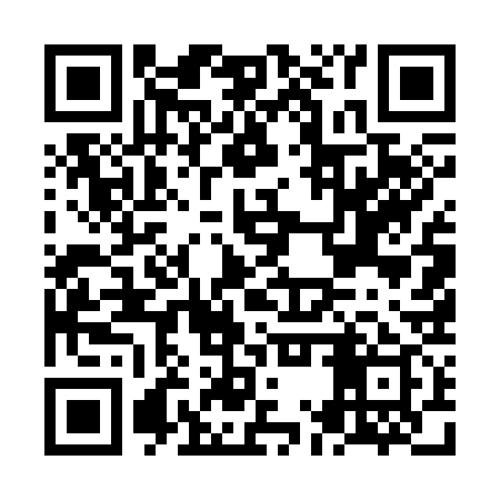 QR code for NMU339