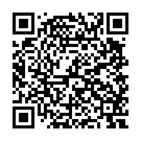 QR code for NNG486
