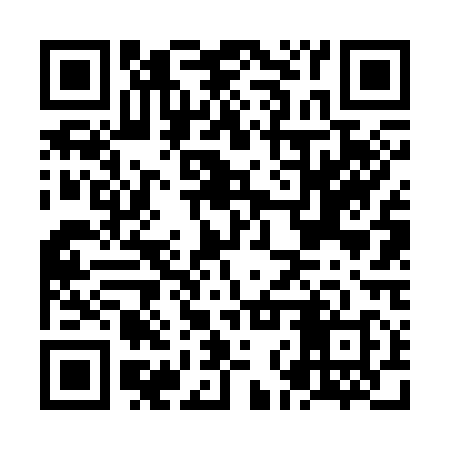QR code for NNV318