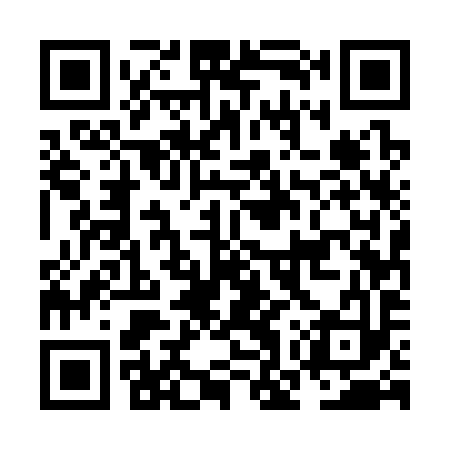 QR code for NOU393