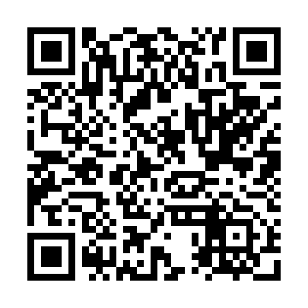 QR code for NPC453