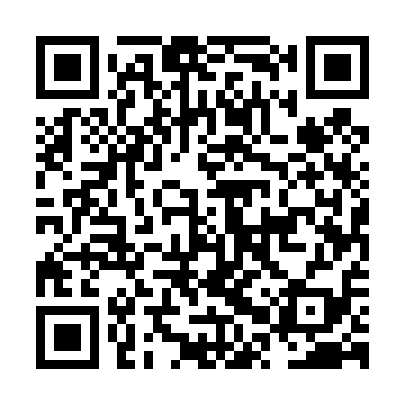 QR code for NPU419