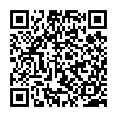 QR code for NQE665