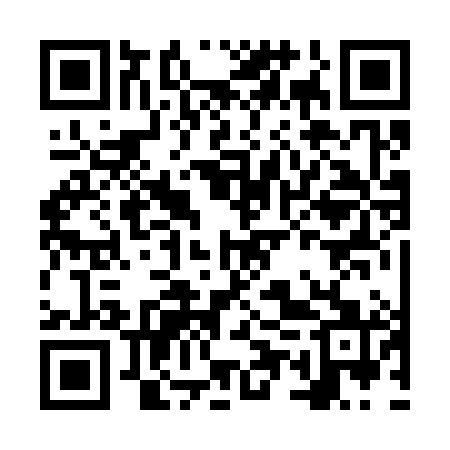 QR code for NUR381