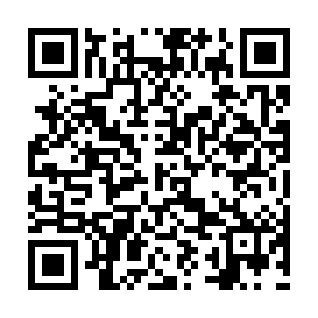 QR code for NYN382