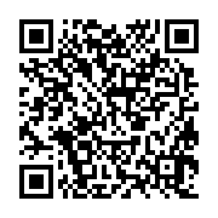 QR code for NZG386