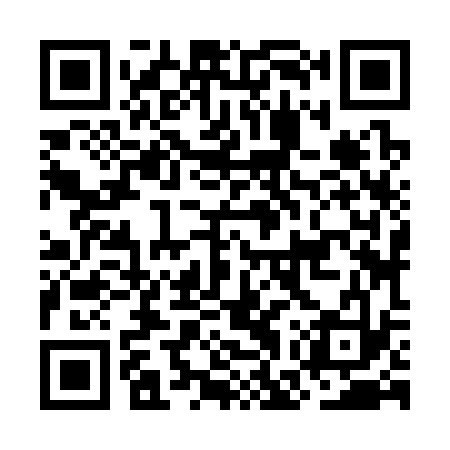 QR code for OGZ333