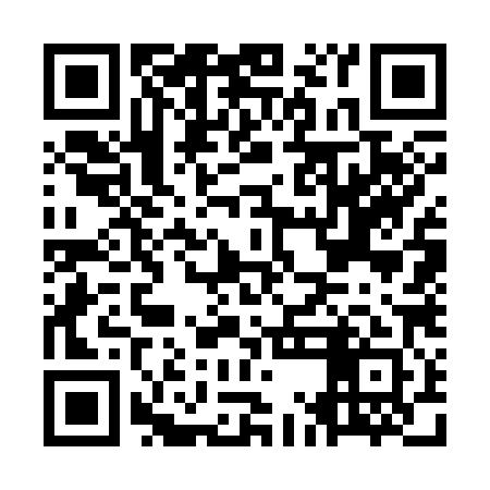 QR code for OMG381