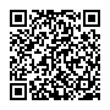 QR code for OSE333