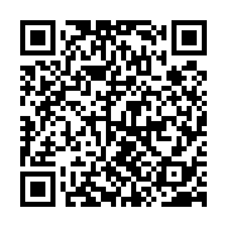 QR code for OSG538