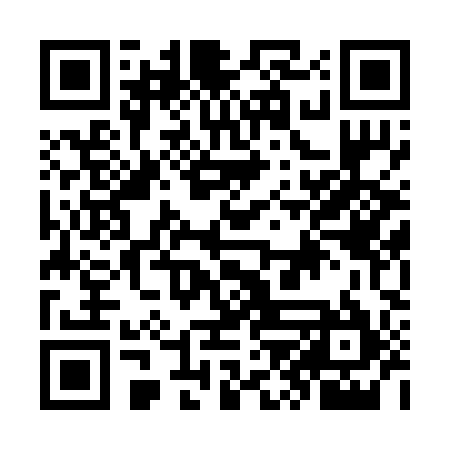 QR code for OZD295
