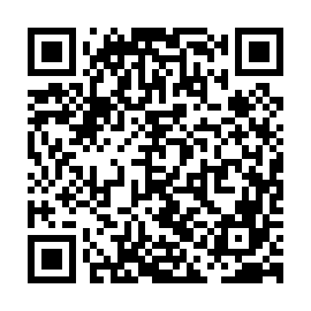 QR code for PAA066