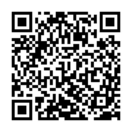 QR code for PAA243
