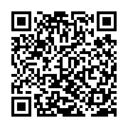QR code for PAE675