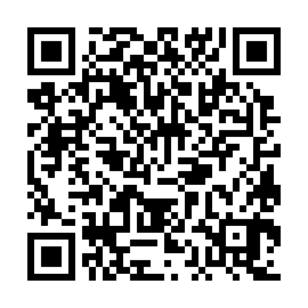 QR code for PAG380