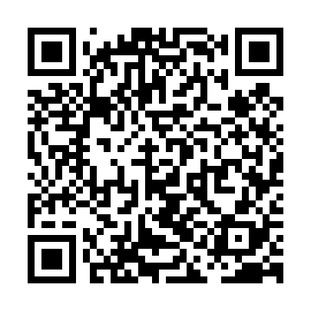 QR code for PAG428