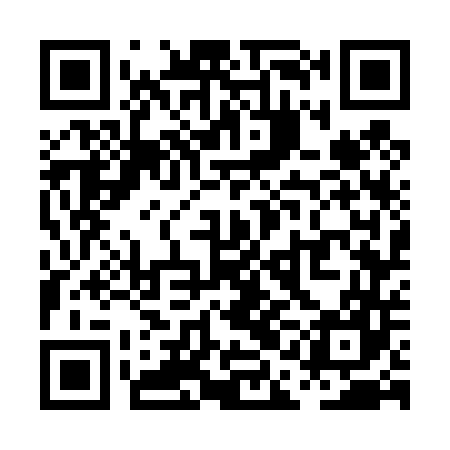 QR code for PAG447