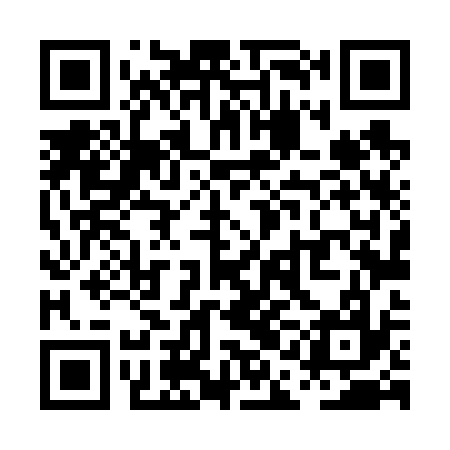QR code for PAL637