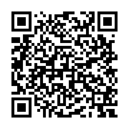 QR code for PAS100