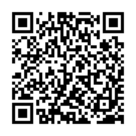 QR code for PAS393