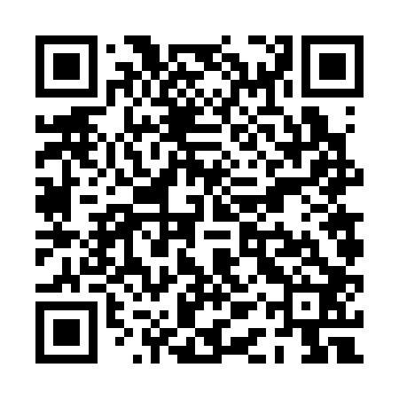QR code for PAV302