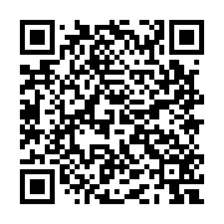 QR code for PAY156