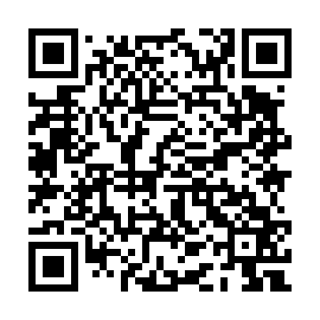 QR code for PAY463