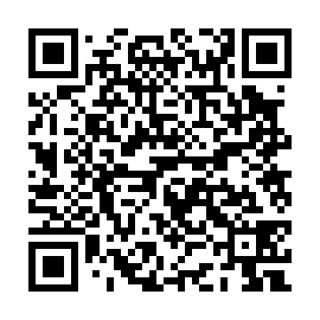 QR code for PCB038