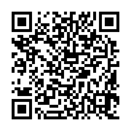 QR code for PDM387