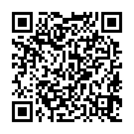 QR code for PEO383