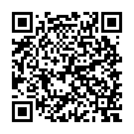 QR code for PFE381